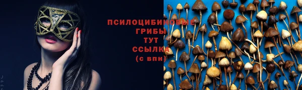 тгк Магадан